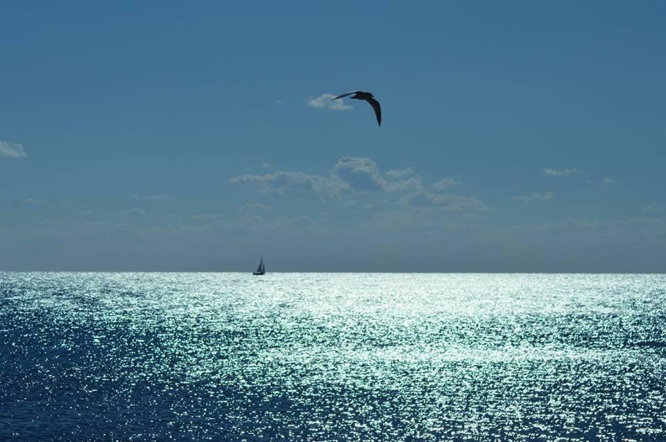 Villa Franca Porto Cesareo Esterno foto