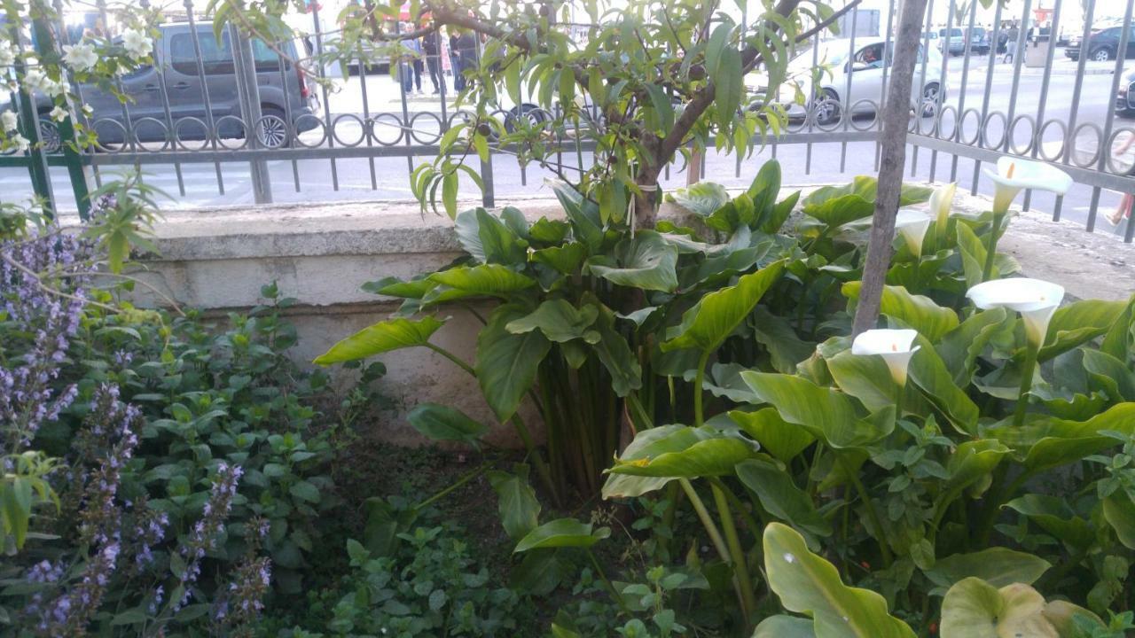 Villa Franca Porto Cesareo Esterno foto